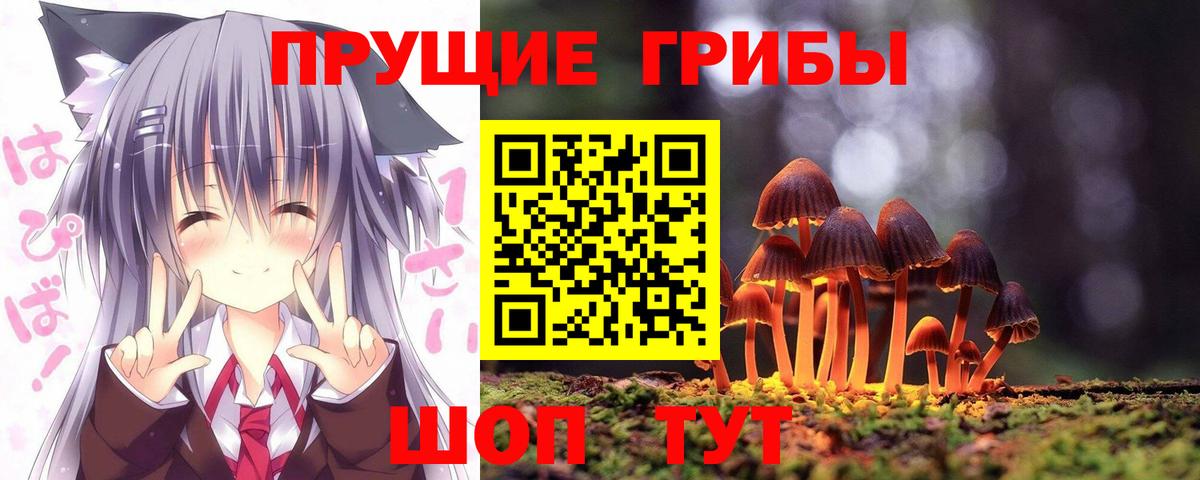 Галлюциногенные грибы Cubensis Домодедово